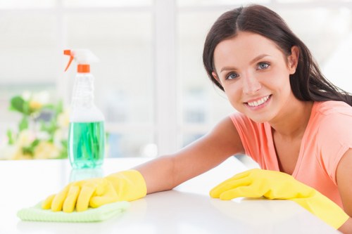 Carpet cleaning team using sustainable waste separation practices