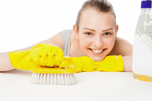 Clean and tidy carpet cleaning workspace with safety focus