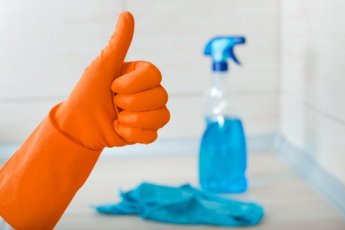 DIY versus professional stain removal services in Goddington