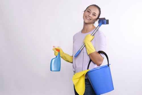 Treating pet stains and smells in a Goddington living room