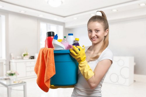 Deep carpet stain and odour removal service in Goddington