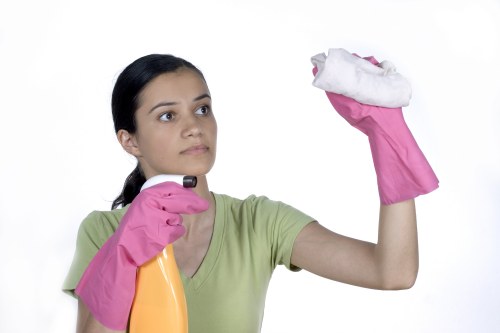 Reviewing a carpet cleaner complaint with service notes